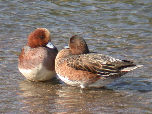 �P�O���Q�T���B�e