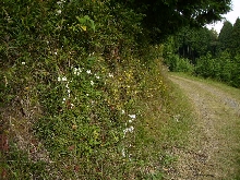 PB020042.JPG