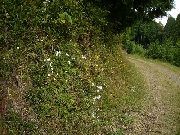 PB020042.JPG